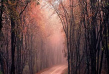 意甲综合：国米大胜莱切 米兰绝杀帕尔马2025-01-28.